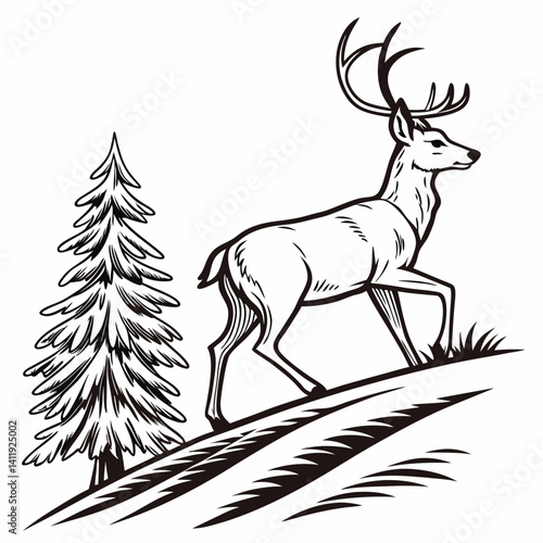 A vector whitetail deer standing on the hill or stone under a pine tree