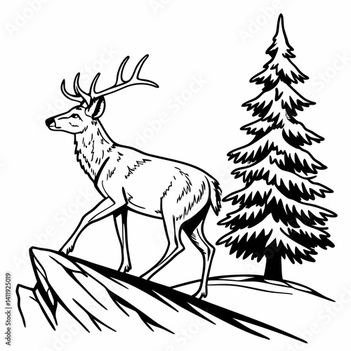 A vector whitetail deer standing on the hill or stone under a pine tree