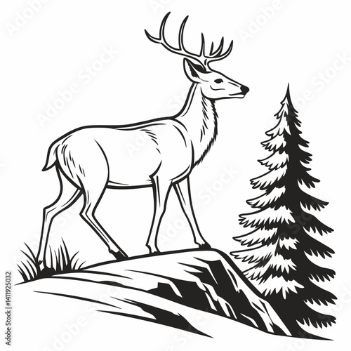 A vector whitetail deer standing on the hill or stone under a pine tree