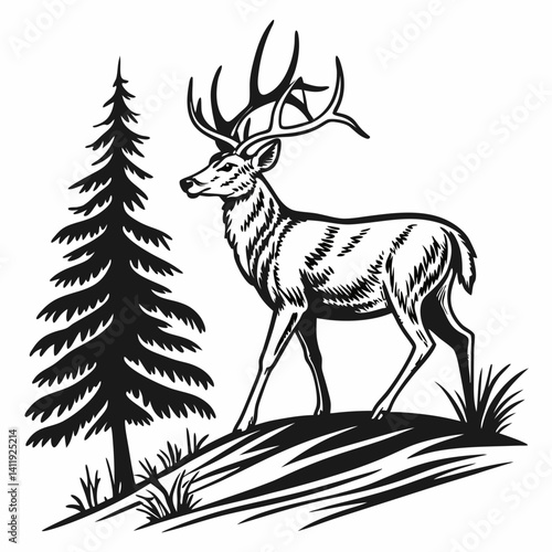 A vector whitetail deer standing on the hill or stone under a pine tree