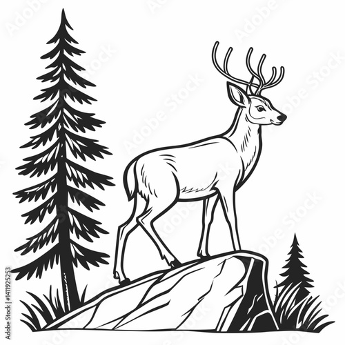 A vector whitetail deer standing on the hill or stone under a pine tree