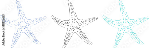 Set of hand drawn starfish in three color variations. Minimalist line art. Summer vacation design elements for fashion prints, labels, menu covers. Vector flat illustration