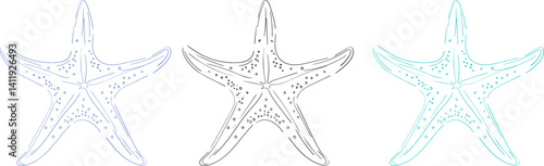 Set of hand drawn starfish in three color variations. Minimalist line art. Summer vacation design elements for fashion prints, labels, menu covers. Vector flat illustration