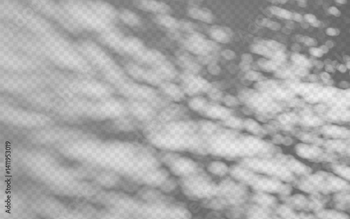 Abstract shadow overlay from foliage on a transparent background.
