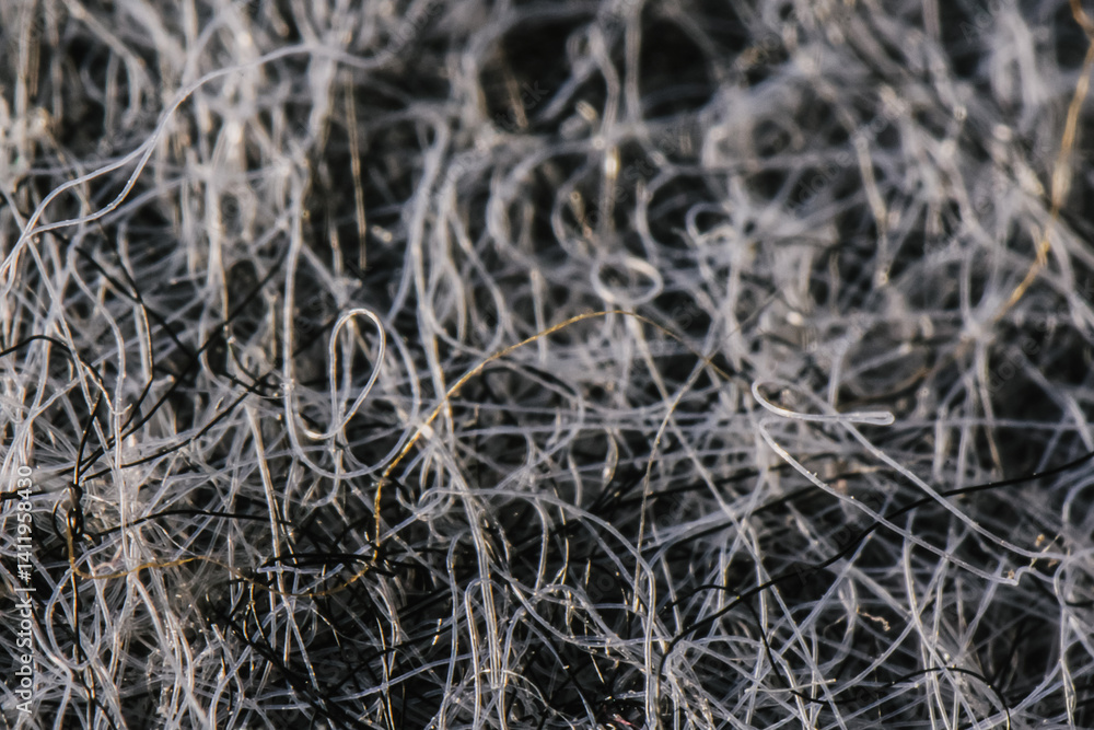 Macro shot of microplastics in food – invisible pollution, environmental contamination and hidden health Macro shot of microplastics in food – invisible pollution, environmental contamination and hidden health