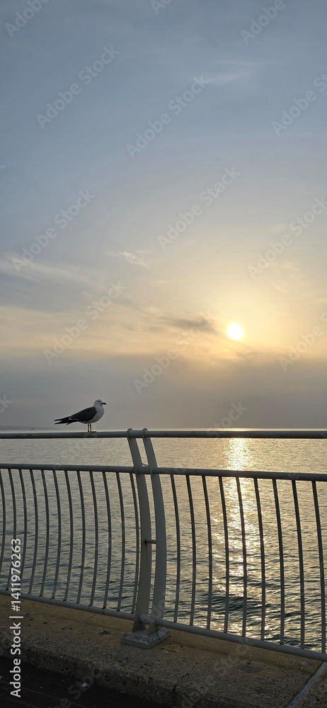 Obraz premium sunset on the beach