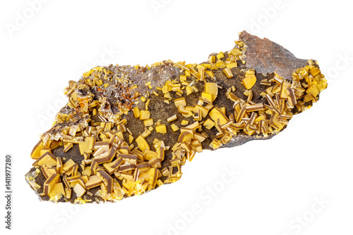Obraz na płótnie Wulfenite mineral stone on a white background close up w salonie