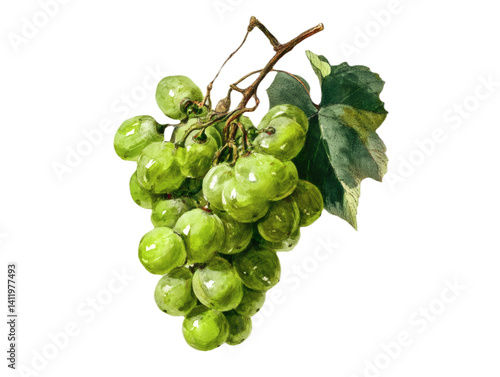 A bunch of green grapes art  on transparent background