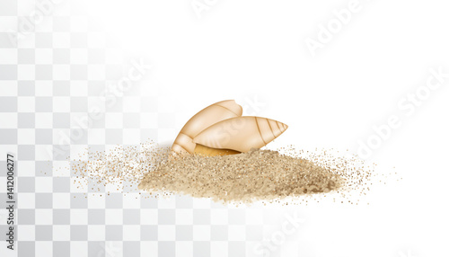 Shells in sand pile isolated. Seashell on sandy beach, ocean dune clams, summer seashore