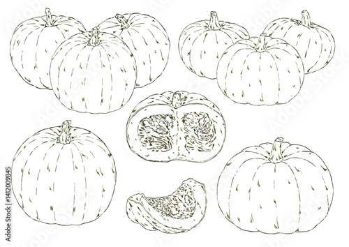 オレンジかぼちゃ6種　鉛筆