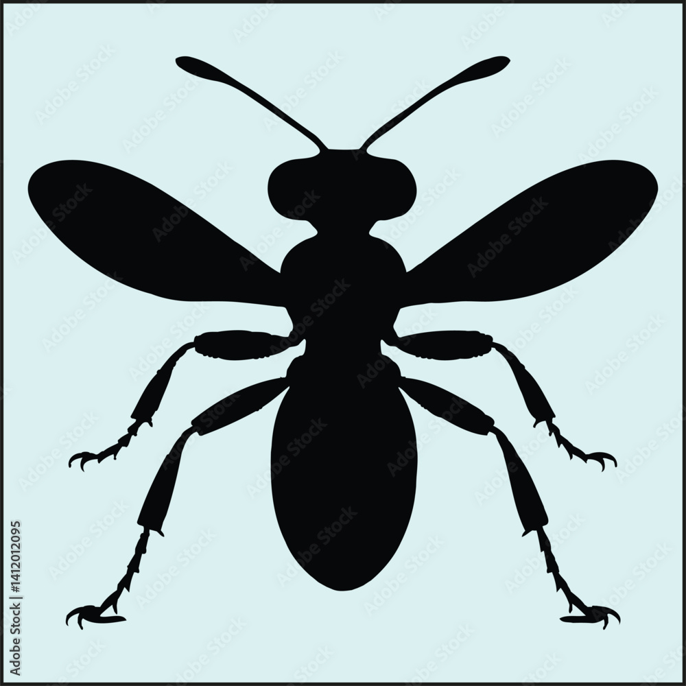 Fototapeta premium Ant Silhouette, Bug 