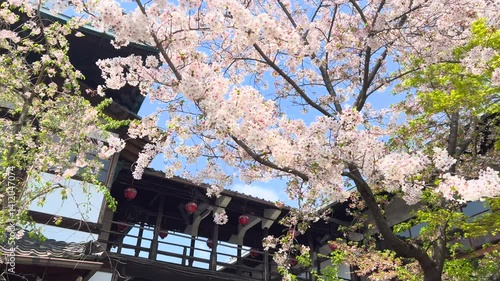 祇園甲部歌舞練場