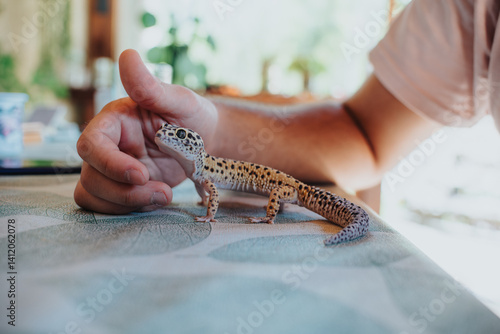 Slika na platnu A young girl curiously interacts with a pet lizard, gently holding it on a patterned table indoors, highlighting a moment of fascination and connection with reptiles