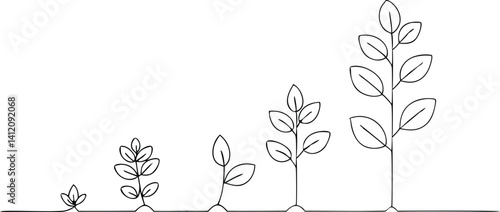 Minimalist Plant Growth in Continuous Line Drawing | Botanical Growth Stages Vector Illustration from Seedling to Tall Plant | Perfect for Education, Sustainability Projects, and Nature-Themed Art