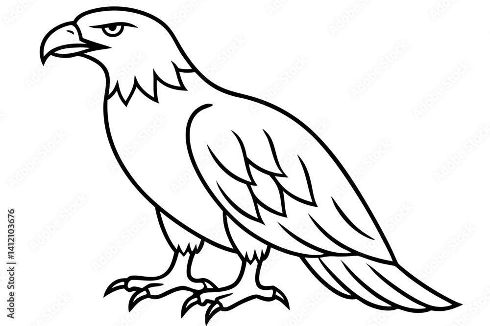 Fototapeta premium Flying Eagle Wireframe