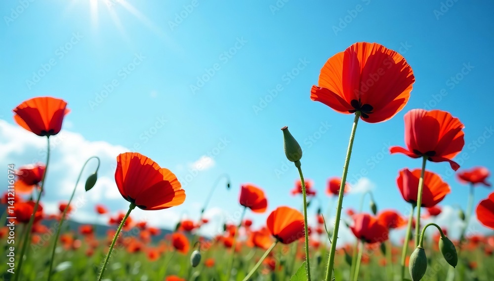 Naklejka premium Vibrant red poppies dancing in the wind under clear blue skies, poppy field, beauty
