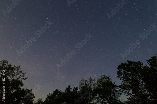 night starry sky above the forest silhouette, calm outdoor night scene