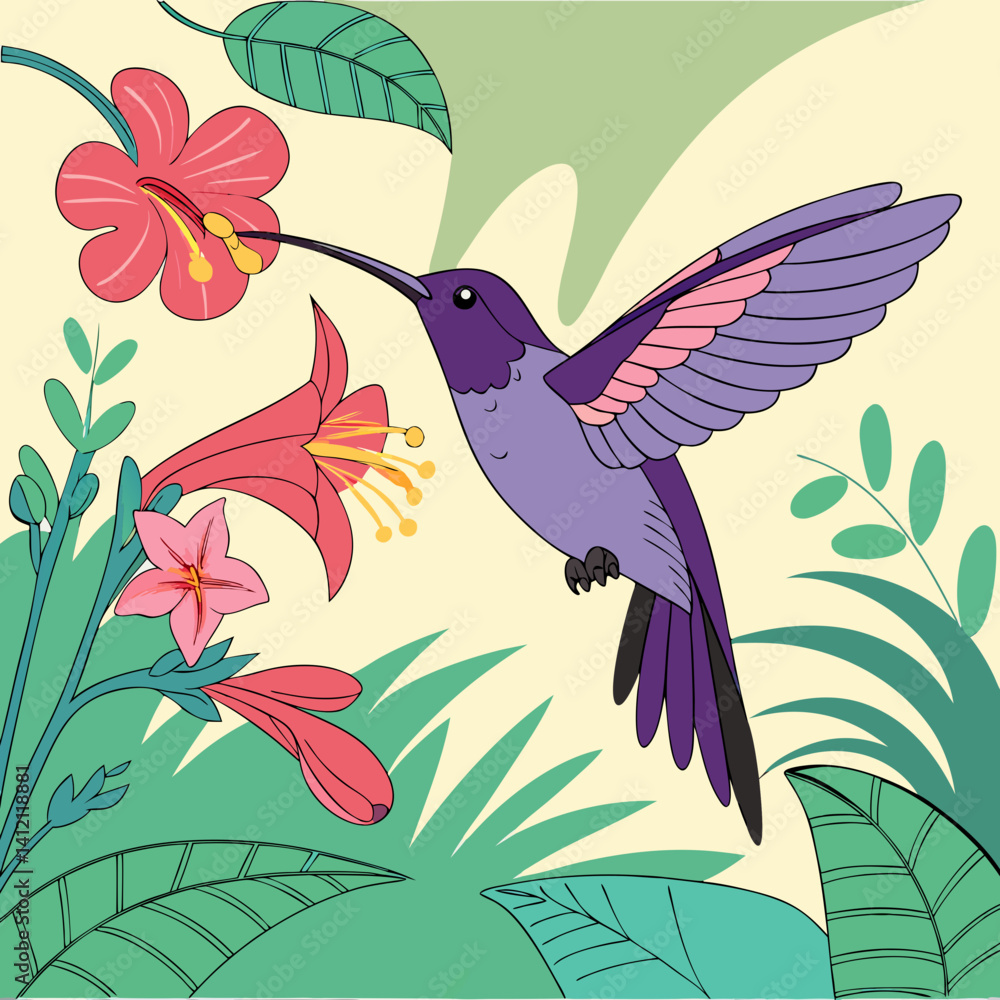 Obraz premium Violet Sabrewing Hummingbird, Central American native, feeding on nectar with speed and grace.