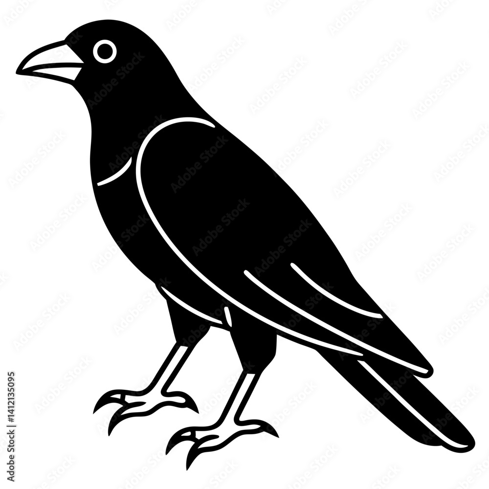 Fototapeta premium vector illustration of a crow