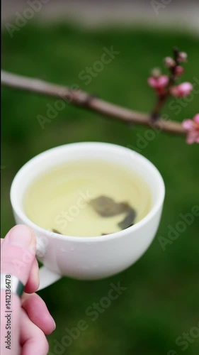 A calming tea (milk oolong) moment with a hand holding a cup next to a budding branch, symbolizing renewal and growth. A serene shot perfect for wellness, mindfulness, and lifestyle stock images.	