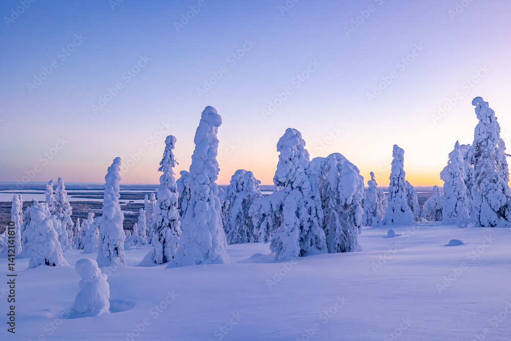 winter landscape with snow