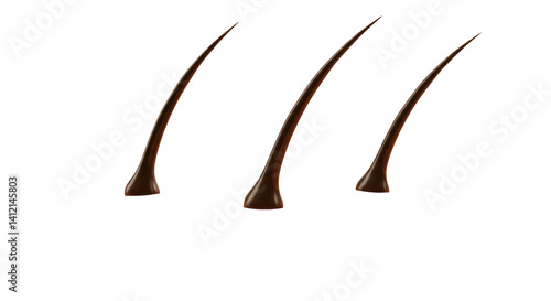 Photos Isolated Human Hairs