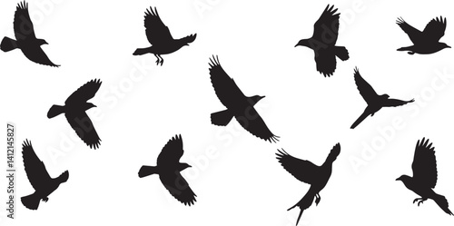 Flying Bird Silhouettes – Crows and Ravens in Motion, Minimalist Black and White Art
