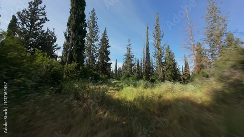 FPV drone flight in spring green forest. Central District, Israel