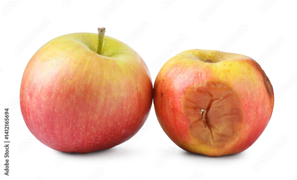 Rotten and fresh apples isolated on white Rotten and fresh apples isolated on white