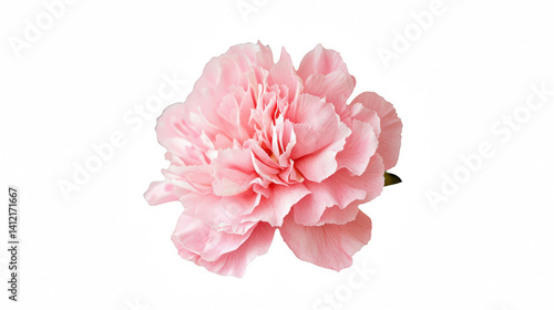 Fototapeta Naklejka Na Ścianę i Meble -  a pink peony on a transparent background, PNG image, PNG file, Generative art.