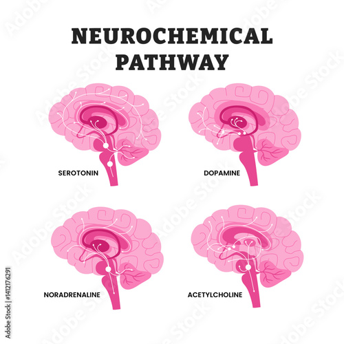 Neurochemical Pathways in the Brain diagram, educational medical poster design healthcare scheme, labeled Serotonin, Dopamine, Noradrenaline, and Acetylcholine Circuits for Mental Function and Mood.