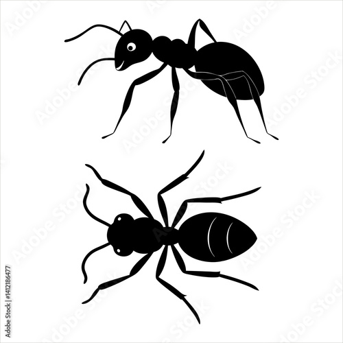 A realistic black ant walking in profile isolated
