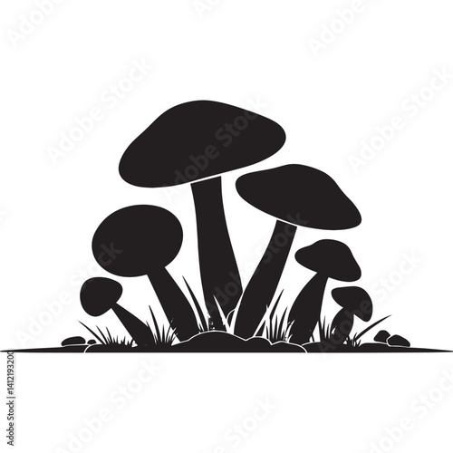 Collection of various mushrooms growing in a natural setting surrounded by grass and rocks