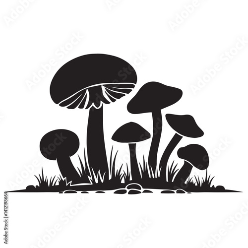 Collection of various mushrooms growing in a natural setting surrounded by grass and rocks
