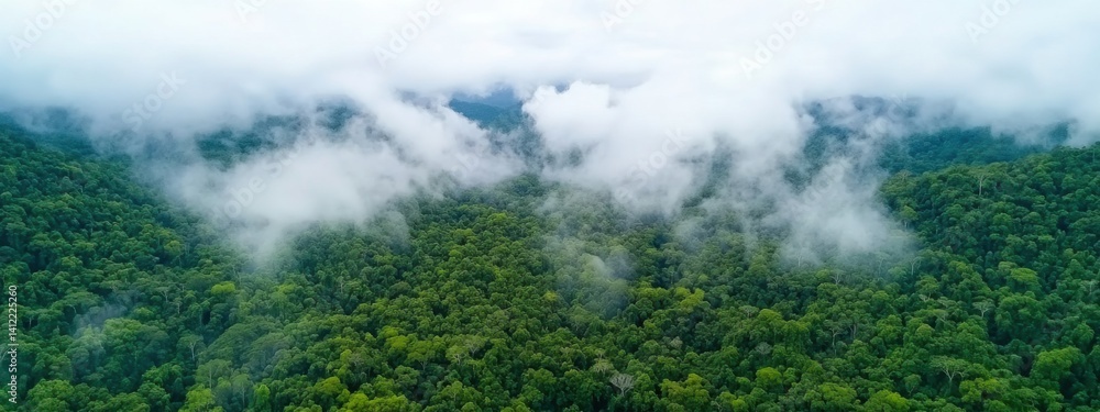 An aerial view of the Amazon rainforest, with mist rising from its dense canopy and mountains in the background. The forest is lush and green, filled with trees that create an enchanting atmosphere.