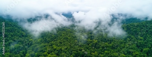Obraz na płótnie An aerial view of the Amazon rainforest, with mist rising from its dense canopy and mountains in the background. The forest is lush and green, filled with trees that create an enchanting atmosphere. w salonie