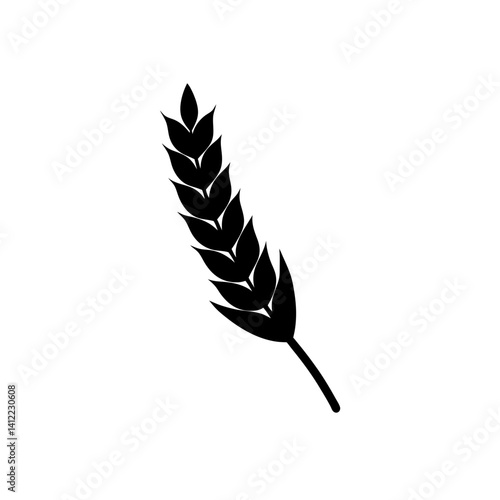 feather vector illustration