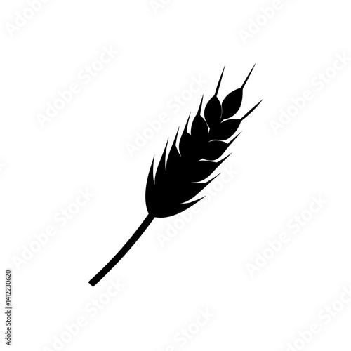 wheat isolated on white background