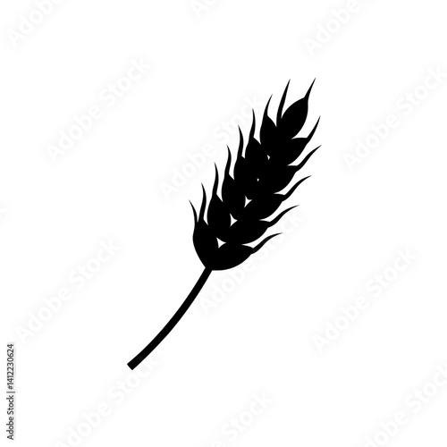 wheat isolated on white background