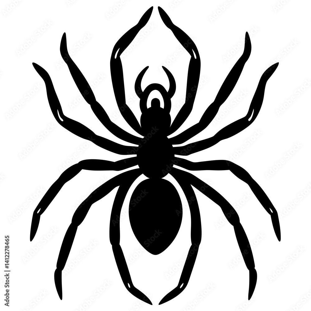 Obraz premium black and white spider