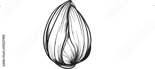 cocoon isolated on white