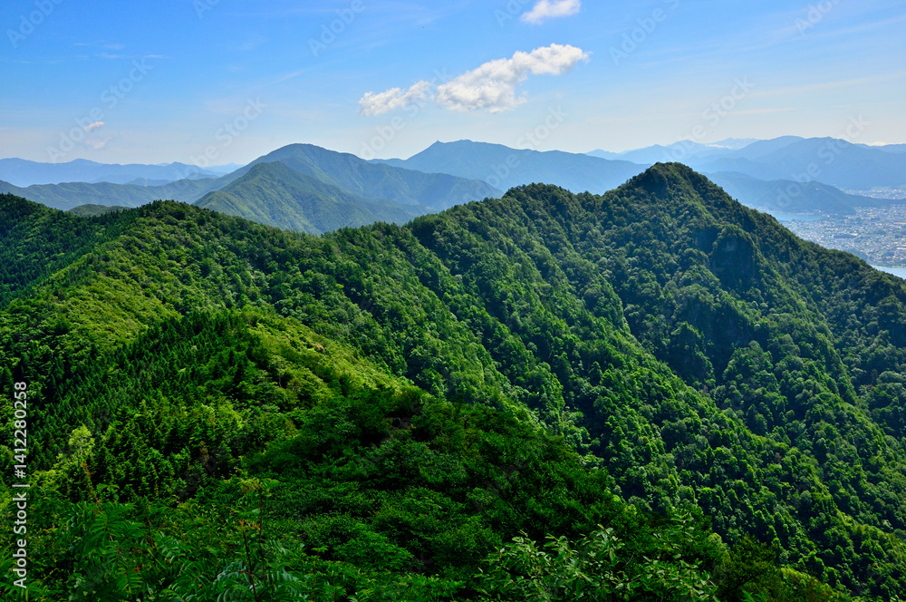 Fototapeta premium 御坂山地の鬼ヶ岳山頂より金山と黒岳と十二ヶ岳を望む 緑の山地 
