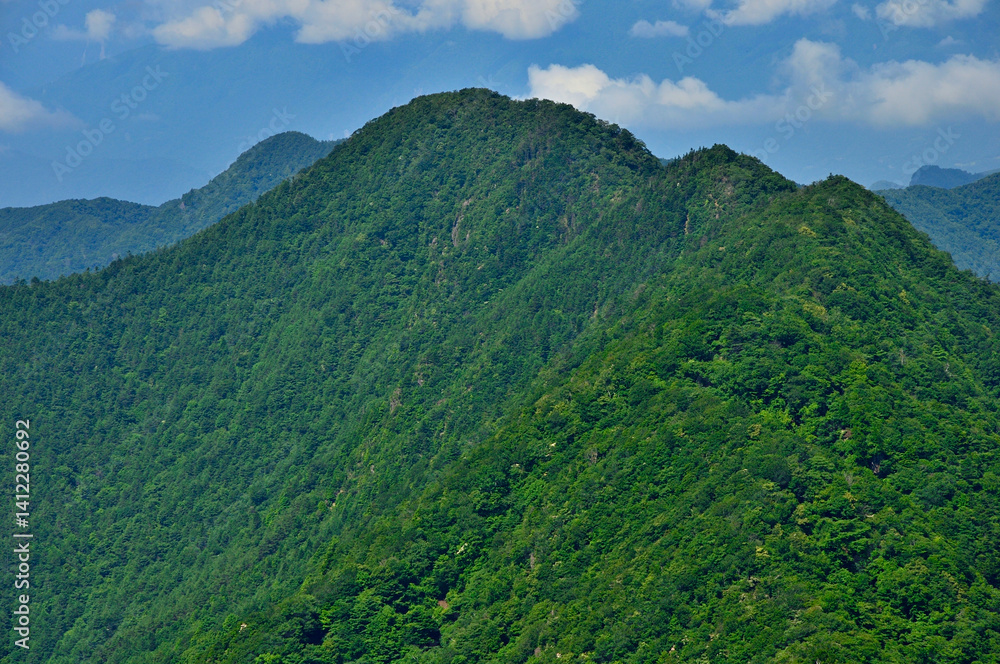 Obraz premium 御坂山地の鬼ヶ岳山頂より望む夏の王岳 