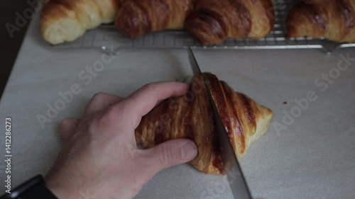 Close-Up of Croissant Interior – Airy and Flaky Crumb