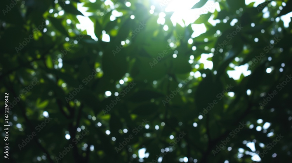 Sunlight through lush green leaves, nature background, bokeh effect, peaceful scene, ideal for website header