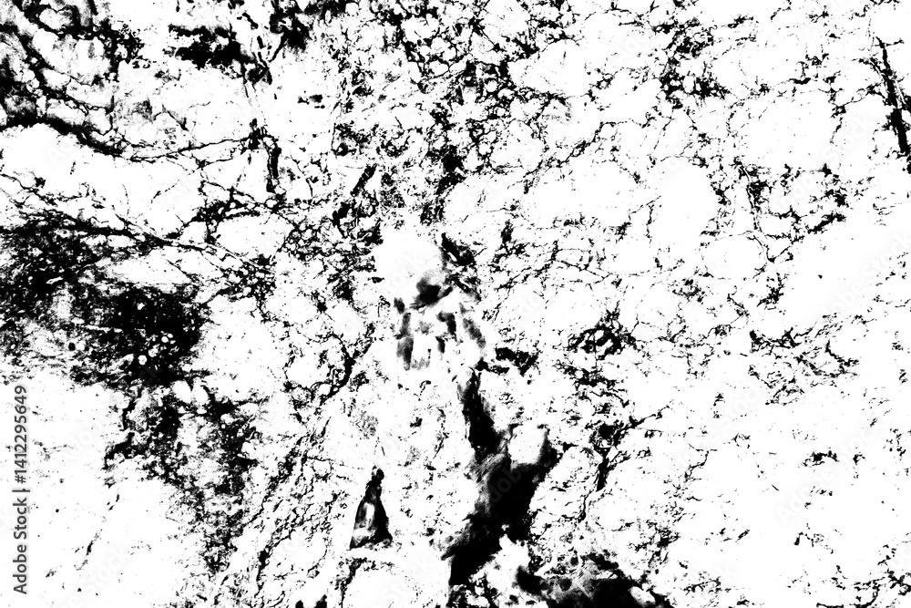 Fototapeta premium Abstract grunge black and white distressed texture background