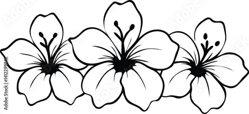 Line Art Three Floral Outlines, Black and White Elegant Blooms, Transparent Background