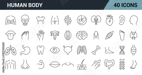 Human Body Line Editable Icons Set. Includes organs, body parts, and anatomy symbols. Vector illustration.