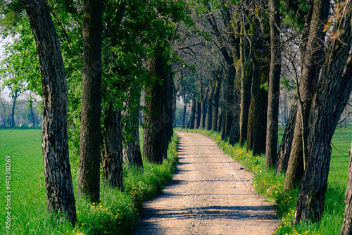 Country landscape along the canal of Martesana, Milan, Italy