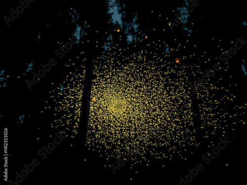 Obraz na płótnie A forest at night with a lot of fireflies. The fireflies are scattered all over the forest, creating a beautiful and peaceful atmosphere w salonie